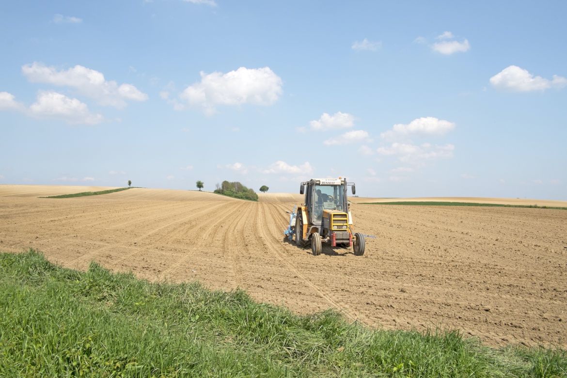057 D80 Wintzenbach