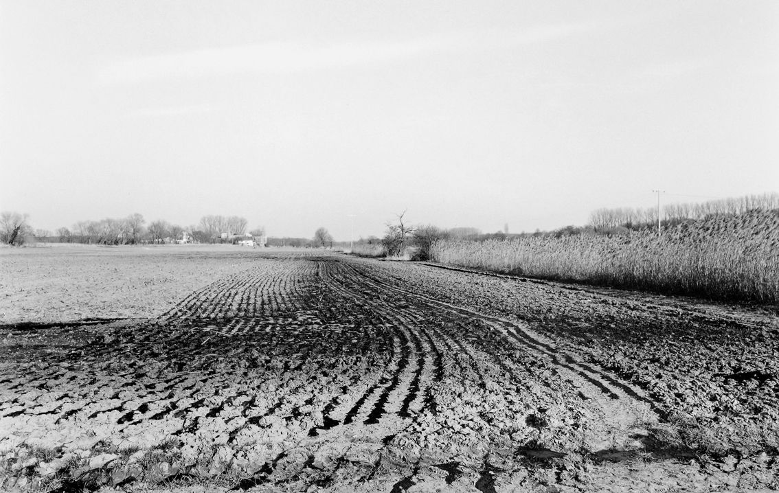 Agrarland Vorderpfalz 114