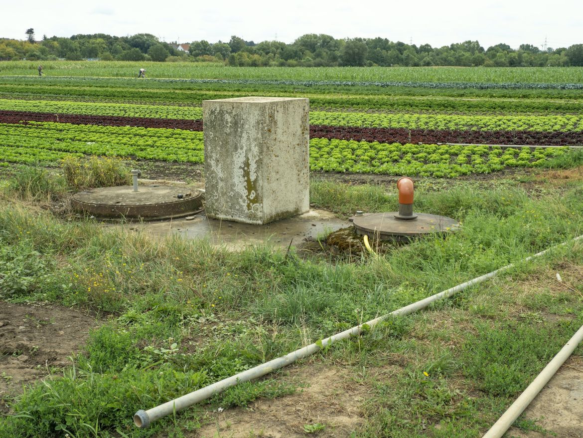 Bild 20