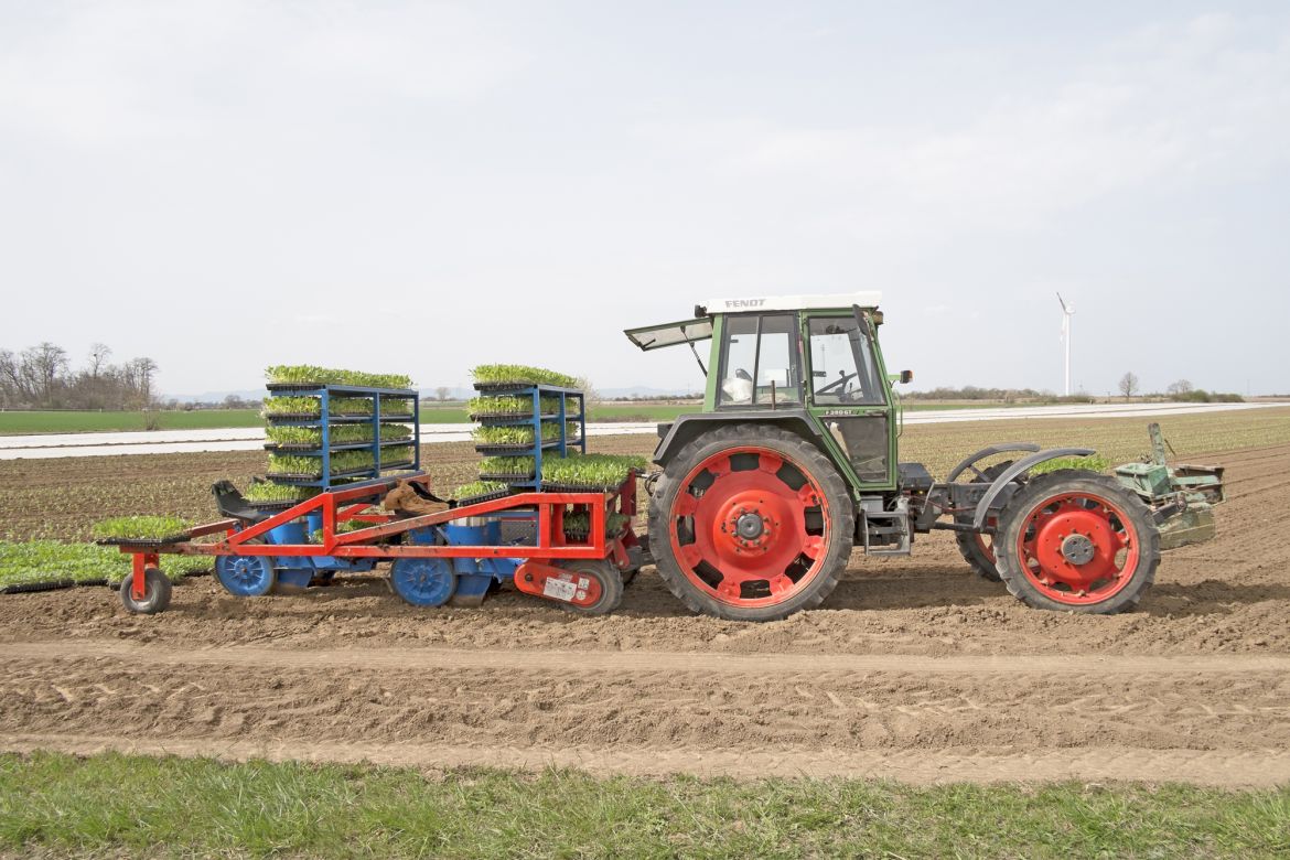 029 Nahe der L507 nördlich von Lingenfeld