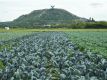 Bild 05