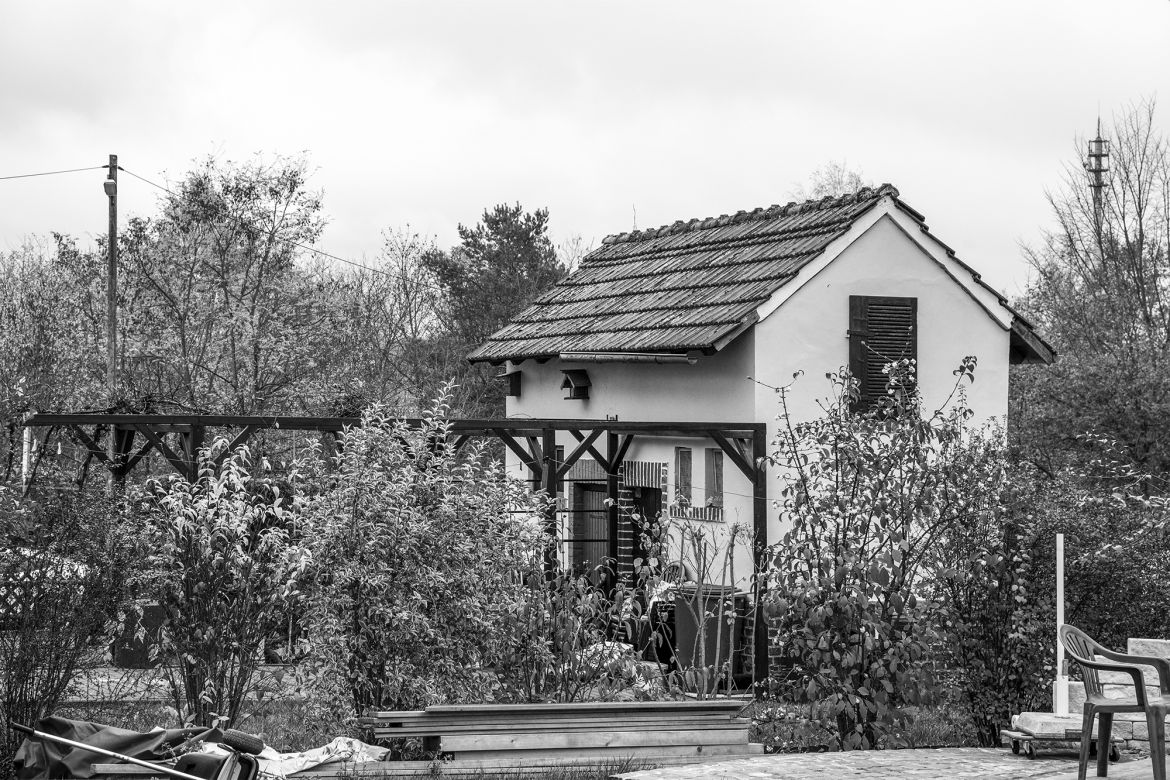 _DSC0521