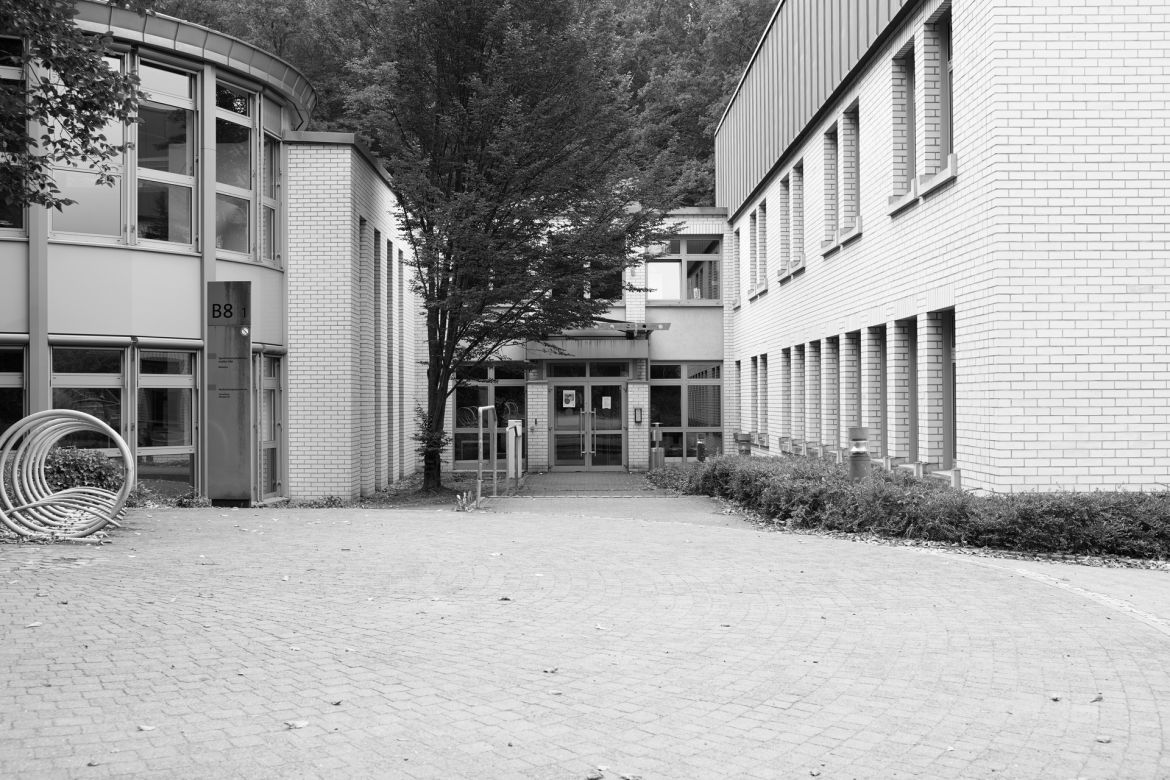 lichtung-12