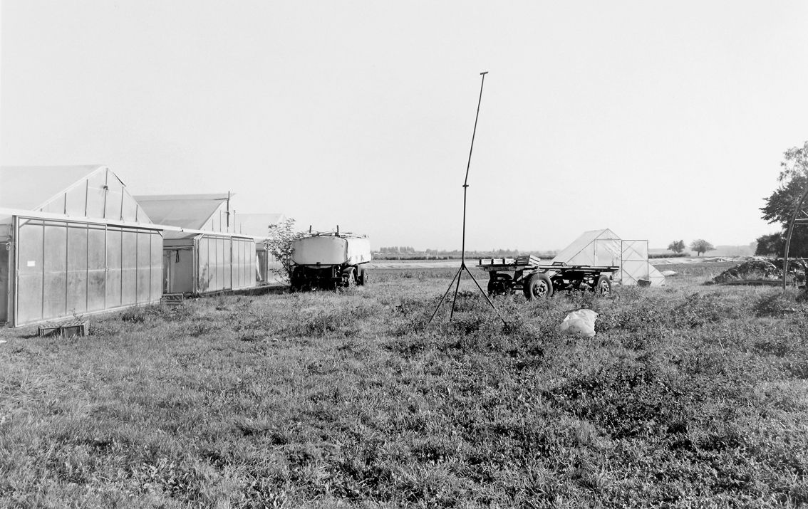 Agrarland Vorderpfalz 31