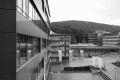 lichtung-43