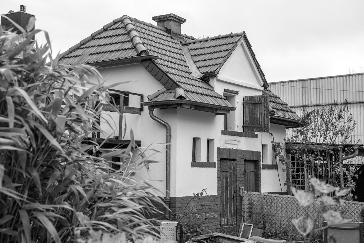 _DSC0544