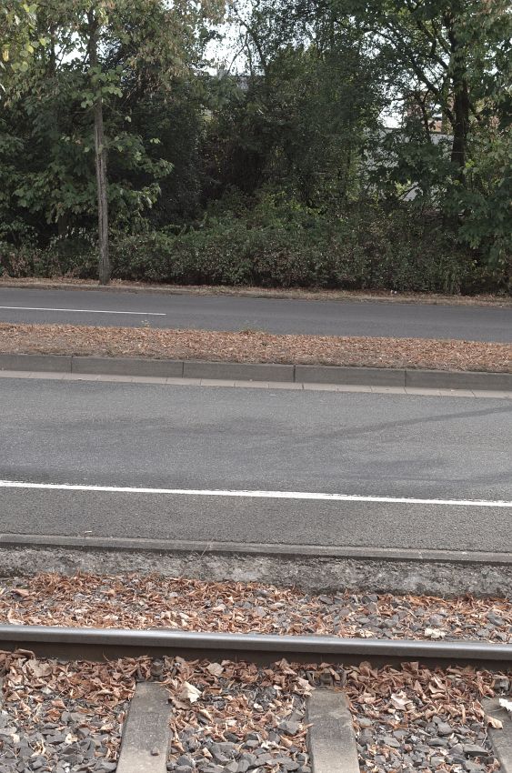 39 Siedler hin