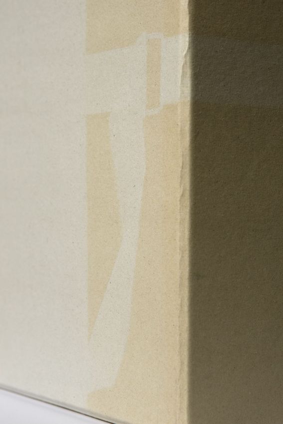 024_sdam