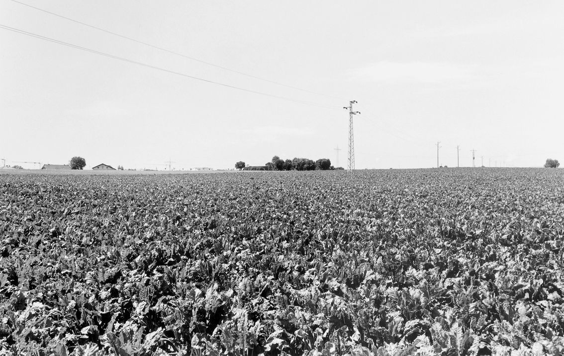 Agrarland Vorderpfalz 93