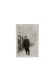 08_Archive_familiale_portrait_de_mon_grand-pere_paternel_vers_1939_2017