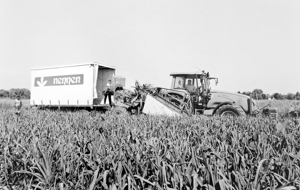 Agrarland Vorderpfalz 42